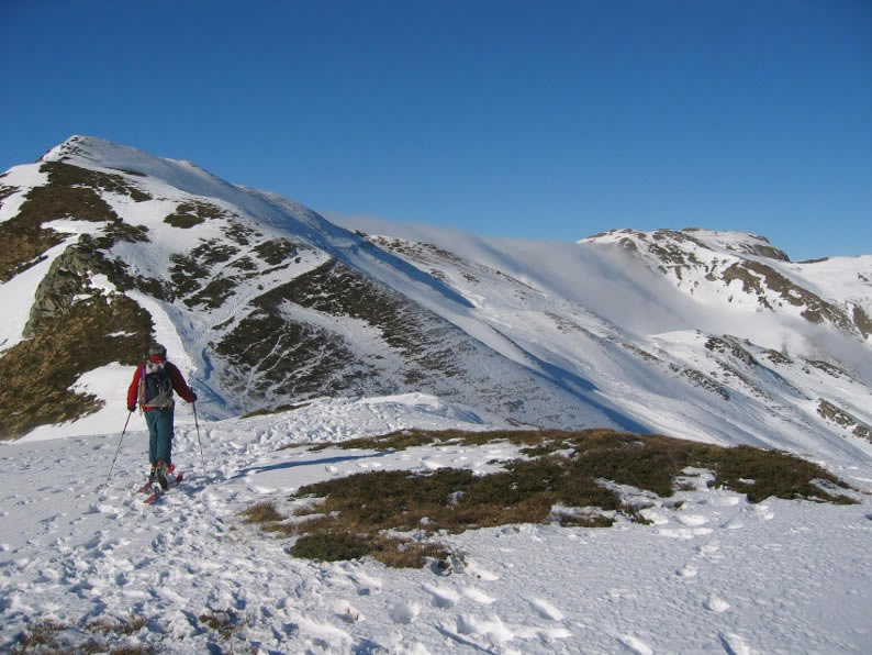 Il pendio nord del Cella. In fondo alla valle, il Prado.
