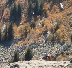 Graziano in azione su placca