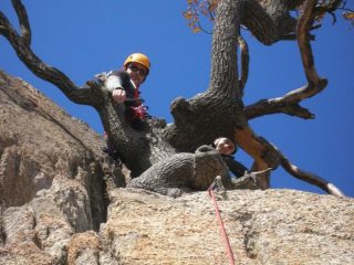 La sota S4 sull' albero
