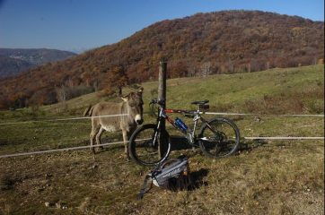 Incontri all'alpe Vicania