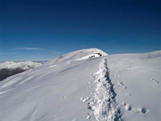 Testa di Cervetto da verso Riba del Gias