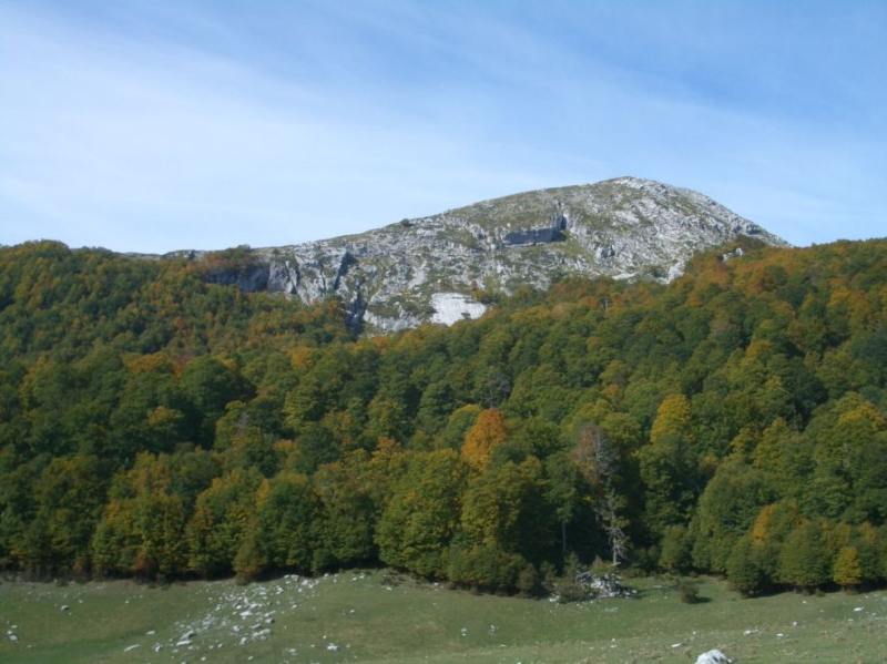 M.Iamiccio dal Campo