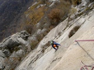 SULLE BELLE PLACCHE DI 