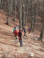 passeggiando nei boschi in versione autunnale
