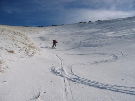 Serpentine nel canale centrale