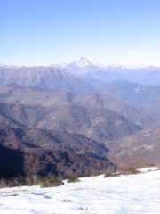 e uno sguardo al Re!