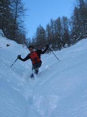 ... arriva anche Pino