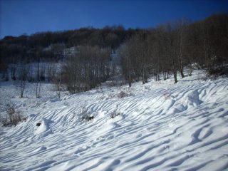 il lavoro della pioggia..