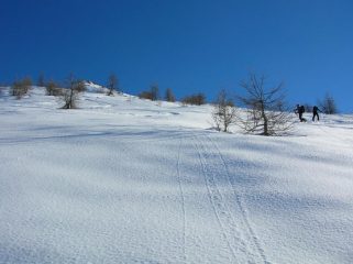 veduta della punta dopo la pineta