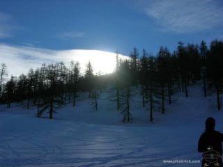 ..nella pineta..foto m.conti