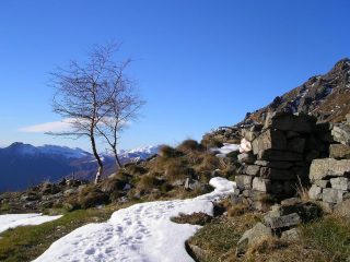 Solitudini..