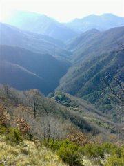 Canate