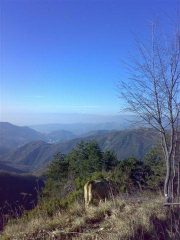 ...sulla cresta tra il Candelozzo e il M.Lago Est