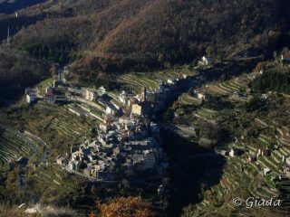 Carpasio
