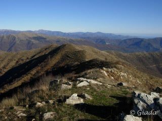 Il crinale