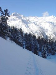 Sullo sfondo la Dent Parrachèe e il Dome de Chasseforet.