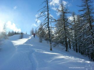 ...pendii ammantati..foto m.conti