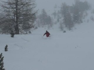 Farina dal cielo e...sotto le gambe
