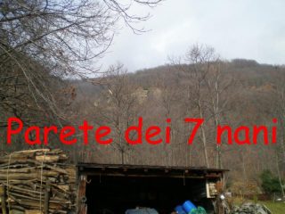 la parete poco evidente dietro la vegetazione...