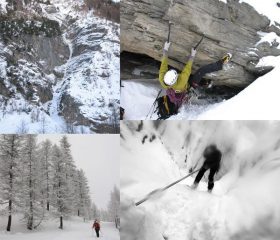 Shots of the day