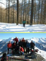 in alita nel bosco e in punta