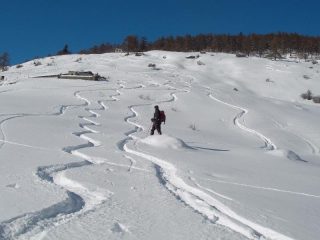 la parte bassa