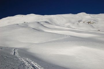 pendii terminali