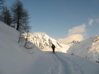 strada che porta sopra al bosco 