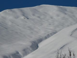 tutto mio oggi