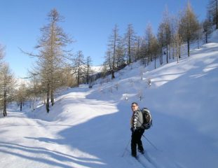 bivio per grange oliveto