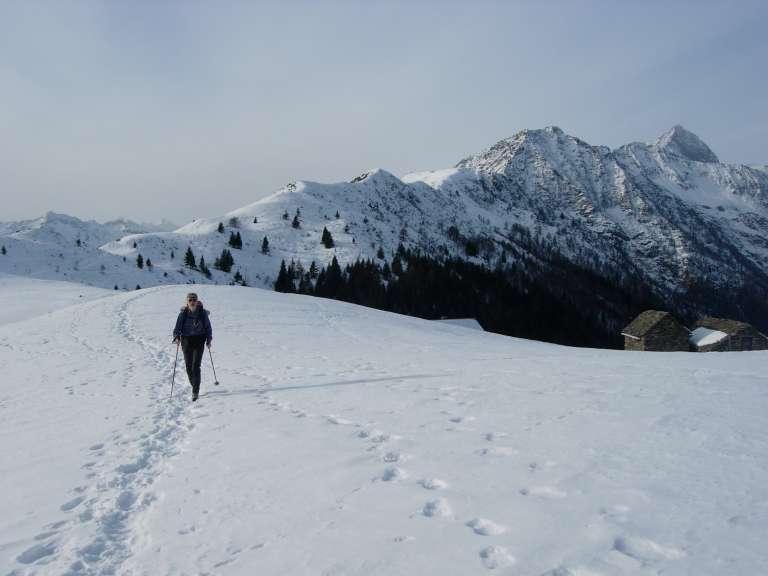 Sulla dorsale dopo l'Alpe Aloro