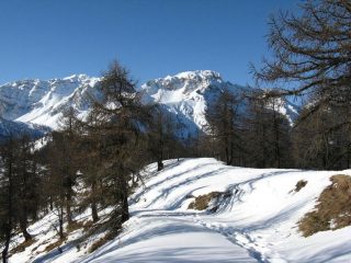 Poco prima della cima