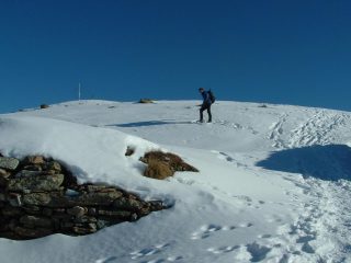 verso la madonnina