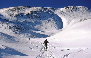 in prossimità del colletto a quota 2611 m.