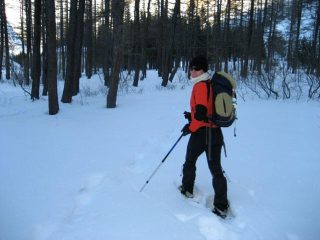 Irina nel bosco sulla destra del piano