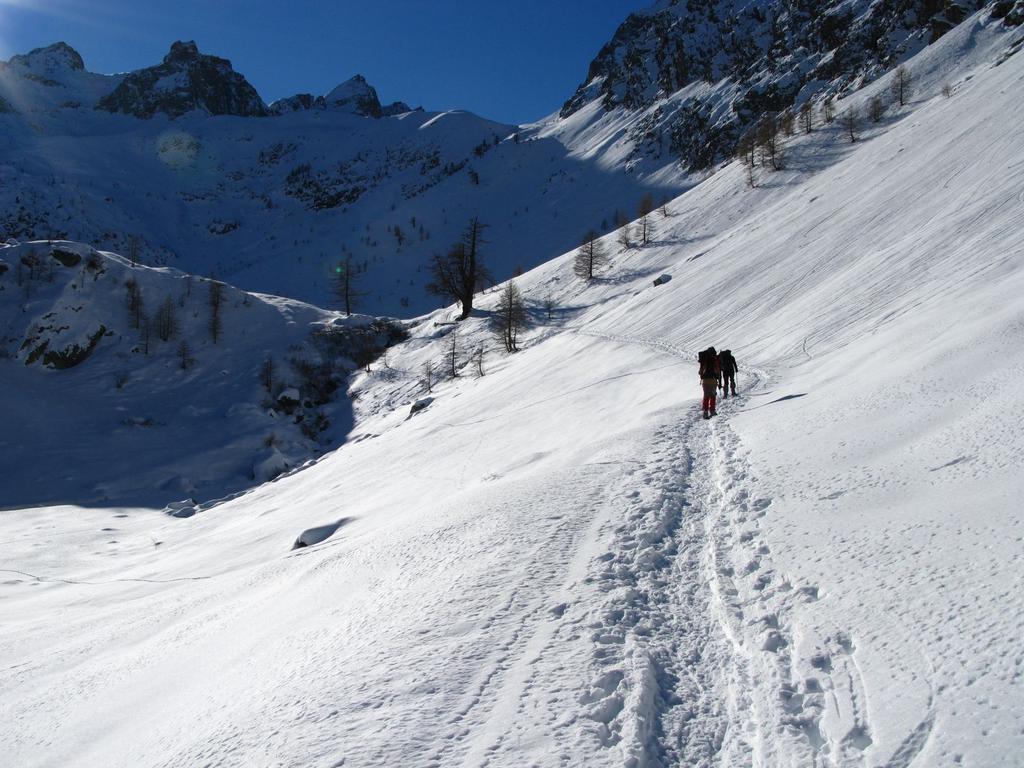 salendo nel vallone, verso il grande larice secolare (29-12-2007)