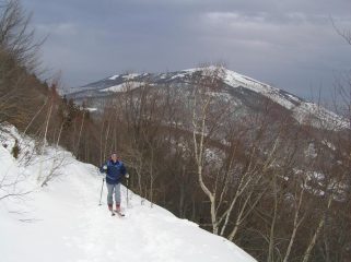 salendo nel bosco .vista del Mindino