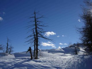 Quanta neve