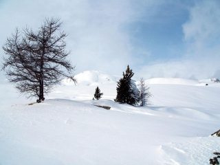 in vista della cima