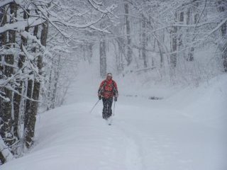 un sole che spacca le pietre