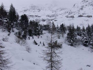 nei pressi del lago delle Bose