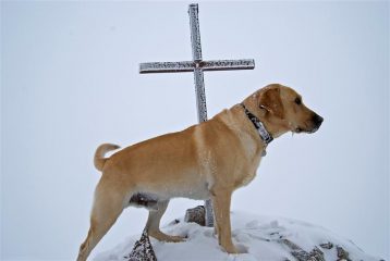Zeus in vetta!