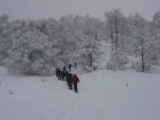 Verso la Costa Chianea