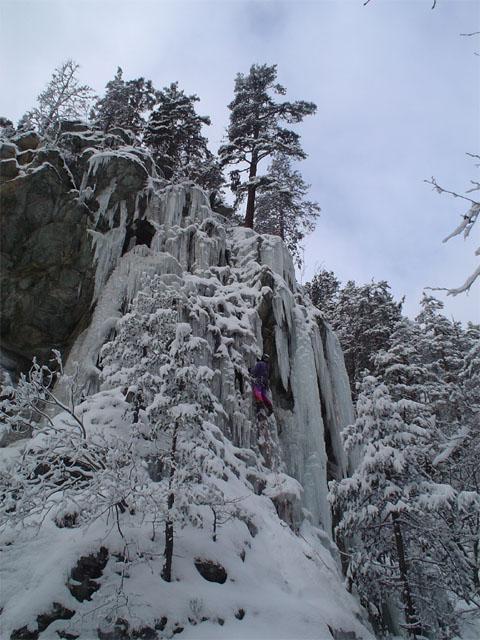 Walter su A fa an pò sgiai