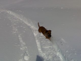 maia in discesa che sprofonda