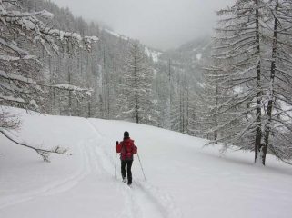 il bel sentiero in mezzo al bosco aihmè avvolto nella nebbia