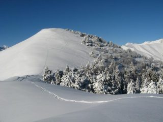 il monticchio