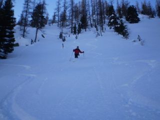 In discesa nel bosco