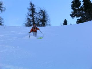 Ottima farina nel bosco rado...