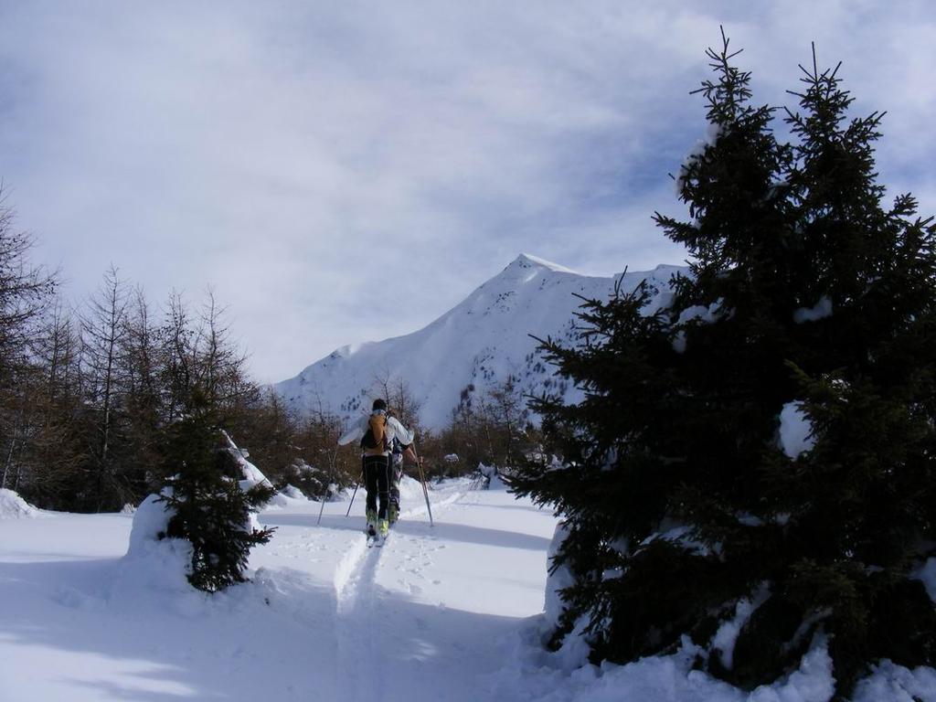 La vetta uscendo dal bosco
